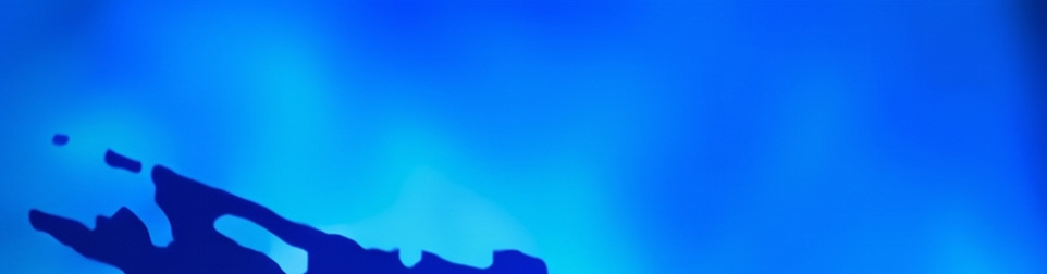 Lumax31 banner