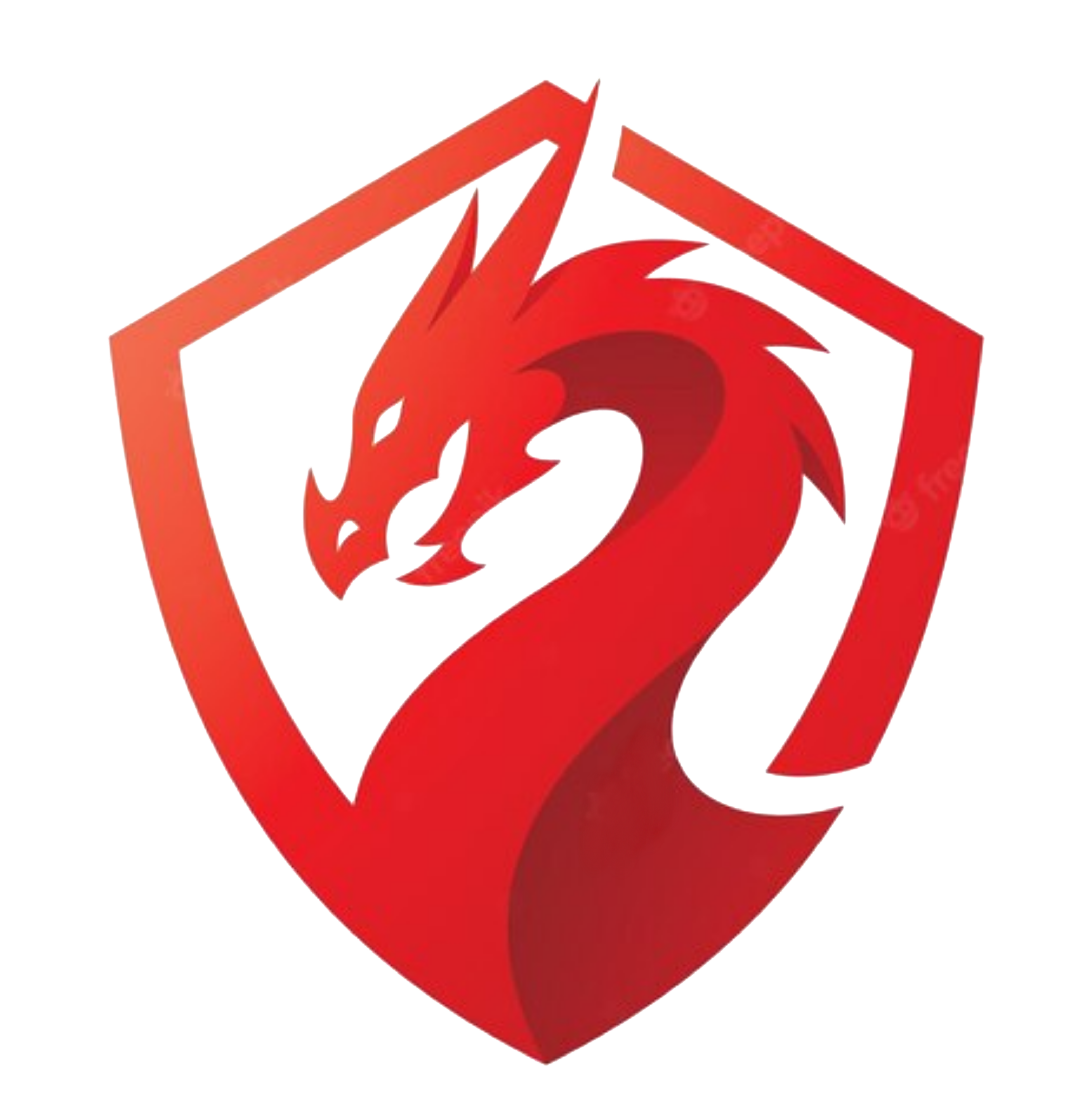 ZYTZNR PACK